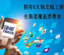 B2B平臺開發,重慶移動電商開發,重慶軟件開發
